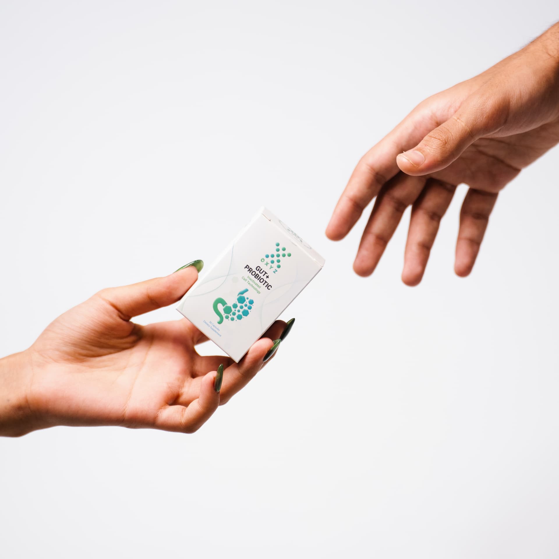 Gut Probiotic